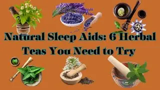 Natural Sleep Aids: 6 Herbal Teas You Need to Try