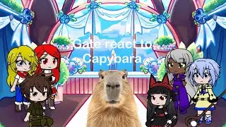Gate react to Animals: Capybara