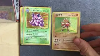 Pokemon Japanese Base Set Holo Cards
