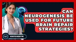 Can Neurogenesis Be Used For Future Brain Repair Strategies? - Neurotech Insight Pro