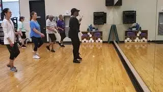 Steady Love Line Dance Instructional