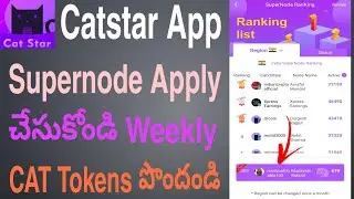 Catstar App Supernode Apply  Get Weekly  Cat Tokens In Telugu