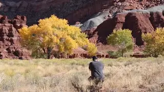 Fall Utah Landscape Photography in Capitol Reef National Park
