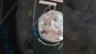 #earthangel little #rose quartz and #aura #crystal #popsocket is drying.