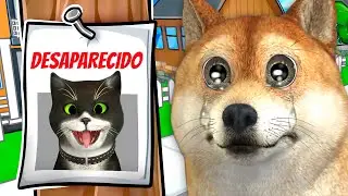 Meu gato desapareceu...