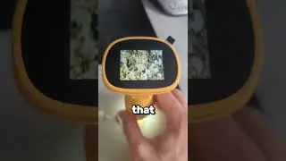 This PORTABLE MICROSCOPE is next level!