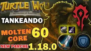 MC armando a la Gente de la Guild🐢 Turtle WoW LATAM 🐢| Raid|