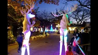 Bronx Zoo Holiday Lights 2021 - Light Show at Astor Court 11/18/21