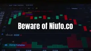 Niufo (niufo.co) Review⚠️