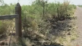 Body in Ector County has been identified