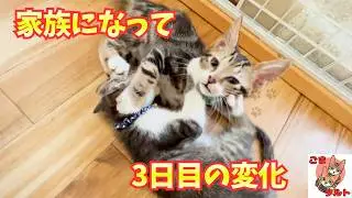 【３日目】少しずつ心の距離が縮まって来た日 ごまさんとタルト