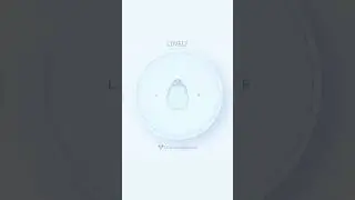 DC The Don - Lovely (2025 Snippet)