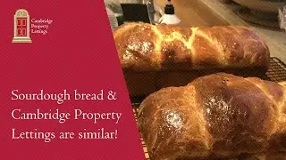 Traditional yet Modern: The Sourdough Bread Making & Cambridge Property Lettings Story