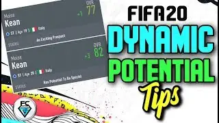 FIFA 20: DYNAMIC POTENTIAL TIPS