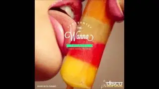 PhuturePhil- Wanna (Original Mix)[Disco Future Records]