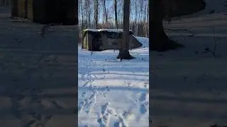 Taki obiekt można znaleźć w lesie 👊