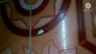 The ants proved that Union is Strength. master the blaster