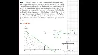 Determinar Velocidad y Aceleración de un Gato a partir de la Gráfica de Velocidad versus Tiempo,
