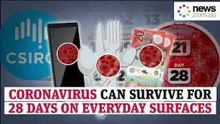 Coronavirus can survive for 28 days on everyday surfaces