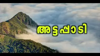 Attappadi | Kerala #attappadi #kerala #hillstation #keralatourism #keralaborder #ghatroad #wildlife