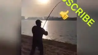 Catching hamour Jumeirah