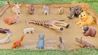 Endangered Animals Save the Day in the Mud | Play & Learn Activities for Kids