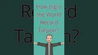 How big is the world record Tarpon