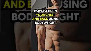 Bodyweight Back and Chest Exercise (NO EQUIPMENT!!) 🔥 #shorts
