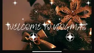 End of Year Book Tag & GOODREADS WRAP UP Vlogmas Day 18