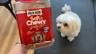 Review of Milk-Bone Soft & Chewy Dog Treats, Beef & Filet Mignon