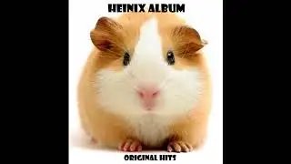 Heinix - Goeie Muziek (remix)