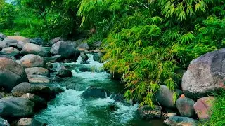Soothing River Flow - Nature White Noise for Meditation, Deep Relaxation & Sleep Aid