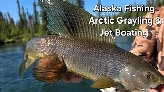 Alaska Fishing & Jet boating | Delta Clearwater | Trophy Arctic Grayling