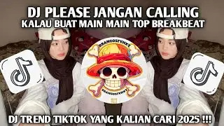 DJ PLEASE JANGAN CALLING KALAU BUAT MAIN MAIN BREAKBEAT TOP | DJ FYP TIKTOK TERBARU 2025