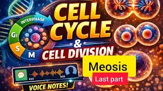 Cell Cycle & Cell Division Last part 🔥 | NEET 2026 Complete Chapter | 100% Concepts|#neet2026