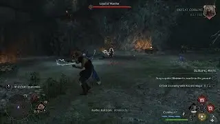 Hogwarts Legacy - fun no hit encounter