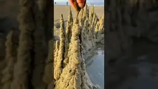 Trends of unique #shorts😏😍😁 #whatsappstatus #trending #status #respect #status #reels #stunt #trend