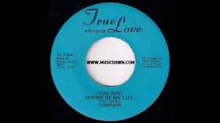 Compass - (You Are) Spring Of My Life [True Love] 70's Crossover Soul 45