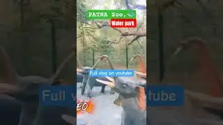 Patna Zoo Hidden Green Water Garden 😲 | Must Visit #patnavlog #patnazoo #bihartourism #vlog #zoo