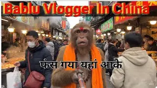 Realistic AI Vlog: Bablu Bandar China Mein Monkey Meat Dekh Ke Darr Gaya 😱 | Krishna Keshav VFX&rdquo;