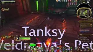 BM Hunter chaos theory - managing chaos in delves (WoW TWW S3)