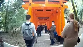 Torri Gates, Train & Temple (31 March 2023) #japan #fushimiinarishrine #sakura #kiyomizutemple #tour