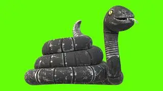 Green Screen | Chroma Key | Animal 4K | Snake
