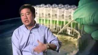 The Importance of Innovation