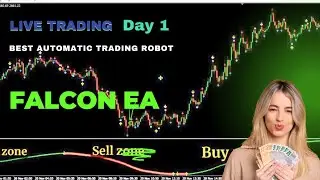 Falcon EA Live Trading Day 1 | The Falcon Indicator