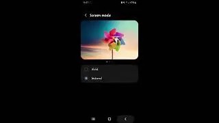 Samsung S22 Ultra - Display with Motion Smoothness - Screen mode - Resolution