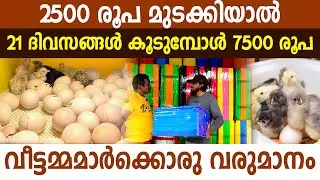 2500 രൂപയ്ക്ക് 95% മുട്ടകളും വിരിയുന്ന ഇൻക്യുബേറ്ററുമായി ഒരു പാലക്കാട്ടുകാരൻ  #incubator