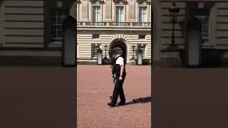 #Buckingham Palace, Security ducks, 2018 summer