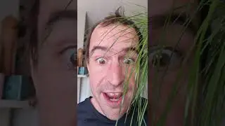 27 - Grass head #items #australia #grass #head #shortsvideo