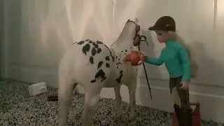 Tack up and ride a horse with me! (Breyer stop motion)